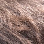 Zotabet Casino Canada Play Now Get Bonus